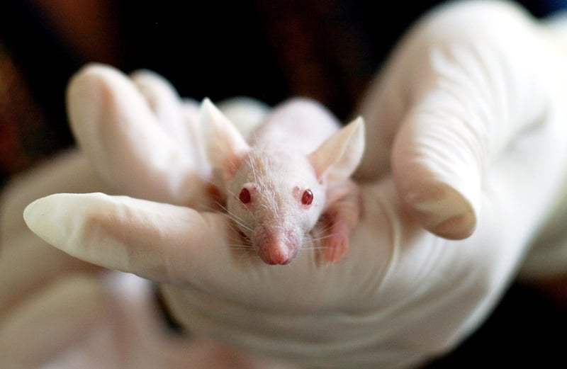 Medical Research